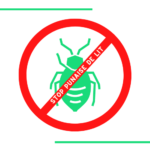 STOP PUNAISE DE LIT STOP | Punaise de lit