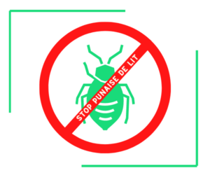 STOP PUNAISE DE LIT Lutte contre les punaises de lit