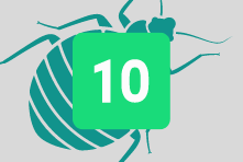 Les-10-signes-dune-infestation-p